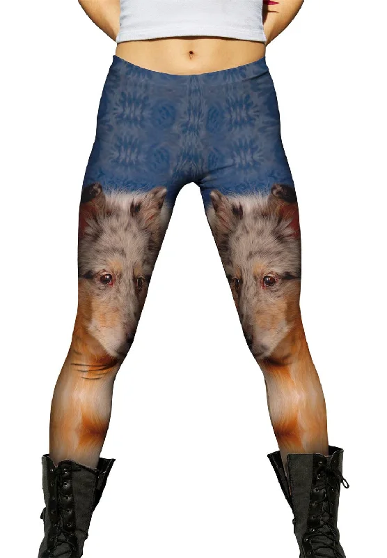 Street Fashion Bewildered Collie