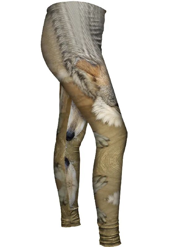 Weekend Style Deep Stare Wolf