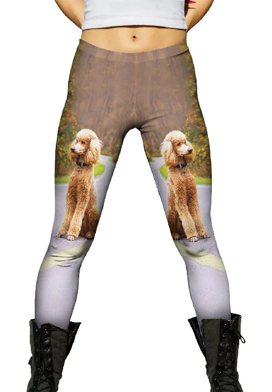 Easy Comfort Style Poodle Going North