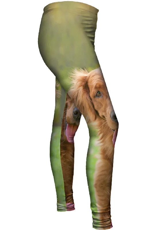 Exquisite Tailoring Shaggy Eared Golden Lab